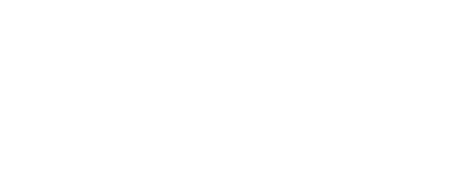 SSP, Strategic Supply Partners